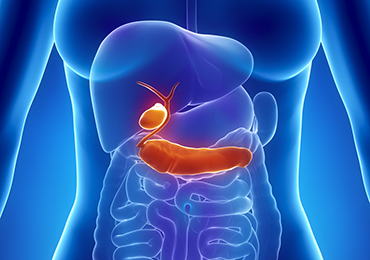 Relación entre vesícula y páncreas