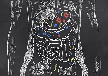 ¿Qué es la flora intestinal o microbiota?