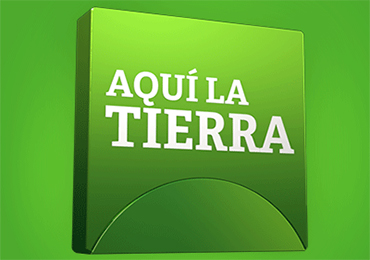 ¿Qué debería contener una cesta de la compra equilibrada?