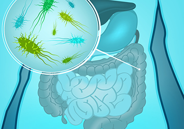 Ni hígado ni corazón: la clave para tu salud está en la flora intestinal