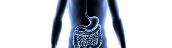 Reduction of digestive stress