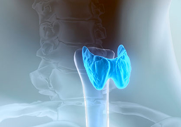 ¿Pueden manifestarse los problemas de tiroides con síntomas digestivos?