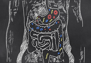 Se abre una nueva vía de estudio de la obesidad actuando frente a la microbiota