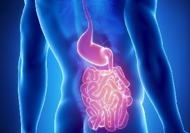 ¿Cómo afecta la edad a la digestión?