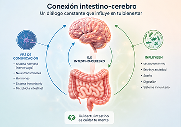 El cerebro también puede enfermar tu intestino: las señales que no debes ignorar