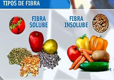 Diferentes tipos de fibra alimentaria