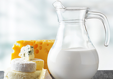 Importancia de la leche y sus derivados en la alimentación 