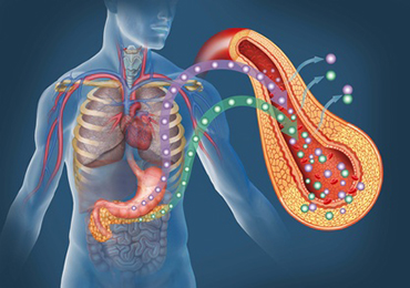 Signos de alerta de la pancreatitis aguda y crónica