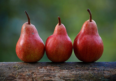 Diferentes tipos de obesidad