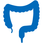 Coloproctología: hemorroides, fisuras, fístulas Coloproctología: hemorroides, fisuras, fístulas